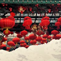 Китайский Новый год за сугробами. :: Татьяна Помогалова