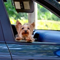 Я готова позировать.. :: Михаил Курзанцев