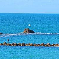 События / Репортаж :: Владислав Воровский 