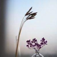 В ожидании весны :: Кулишев Николай 