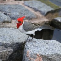 На берегу :: Валентина 