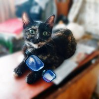 Принцэса :: Сергей Кочнев