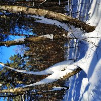 Накануне весны :: Андрей Лукьянов Накануне весны :: Андрей Лукьянов