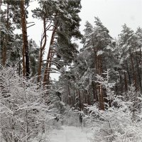 Февральский снег :: Геннадий Худолеев Худолеев