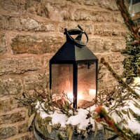 Вечерняя прогулка :: Veera V