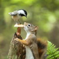 Поделимся ?...:) :: Валерий Кокорев