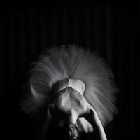 Чб :: Михаил 