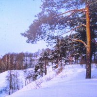 На горке :: Людмила Смородинская