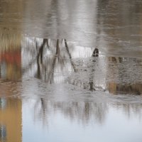 ноябрь :: Елена Шаламова