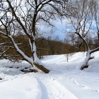 Зима в конце февраля. :: Милешкин Владимир Алексеевич 