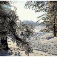 *** :: Aleksandr Gal