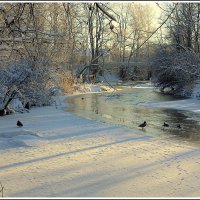 *** :: Aleksandr Gal