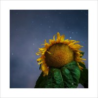 * :: Александр Иванов