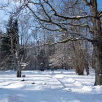 *** :: Геннадий Порохов