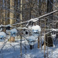 *** :: Геннадий Порохов