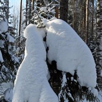 Ёлочка в манто. :: ВикТор Быстров Ёлочка в манто. :: ВикТор Быстров