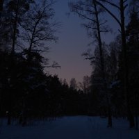 рассвет в парке :: Павел Котов