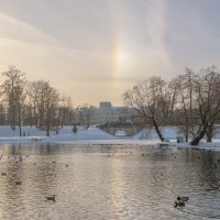 Радужное гало над Большим Гатчинским дворцом :: Дарья Меркулова