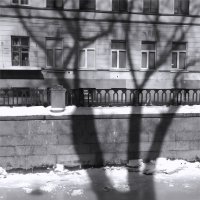 зима, прощай! :: sv.kaschuk 