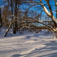Широкая Масленица, утро 6 :: Андрей Дворников