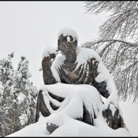 Снегопад :: **** vedin