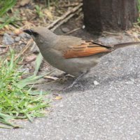 Кто я? :: Валентина 