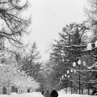 В парке. Черно-белая фотография :: Любимова Ольга 