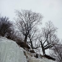 вВ Саблино :: Игорь Корф вВ Саблино :: Игорь Корф