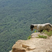 Да, высоковато здесь...))) :: Александр Герасенков