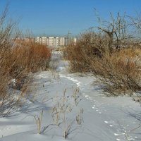 Февраль :: Георгиевич 