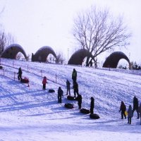 Покатушки в парке :: Людмила Смородинская