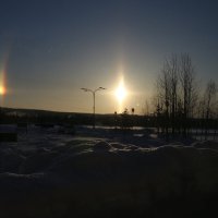 Гало по утрам :: Ольга 