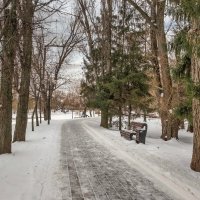 В зимнем парке ... :: Ravile 