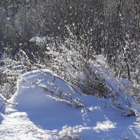 Снег, снежок... :: Рита Симонова