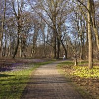 Весна идёт....!!! :: Галина 