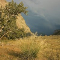 Гроза надвигается в долине Чулышман :: елена беликова