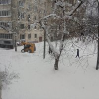 Январь 2026 года :: Елена Семигина