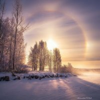 Гало :: Ольга Cоломатина