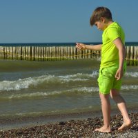 Цвет солнца. :: Константин Белоногов Цвет солнца. :: Константин Белоногов