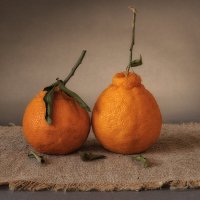 Он и Она. Натюрморт - шутка. :: Лилия *