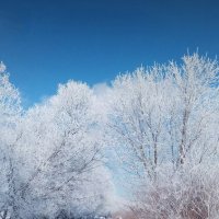 Ещё зима :: Тамара Вебер