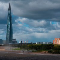 Колючка :: Александр Лебедев