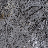 Зима уходит..... :: Алёна Савина