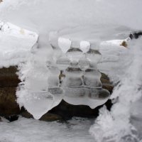 ЖУРАВЛЕВО :: Tata Wolf