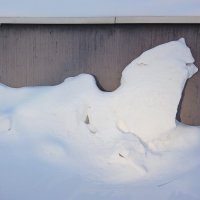 Снежный барельеф :: Наталья Герасимова Снежный барельеф :: Наталья Герасимова