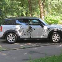 Мы все здесь безумны :: Дмитрий Никитин