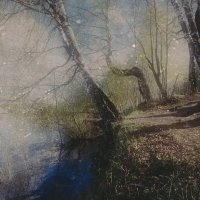 Фотография :: Денис Безногов