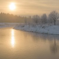 Река Ижора во время мороза и метелицы :: Дарья Меркулова