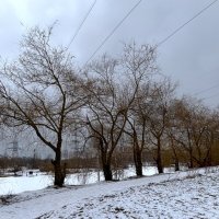 К весне готовы! :: Мария - Maria