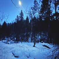 Зимний ручей при свете луны :: Владилен Панченко